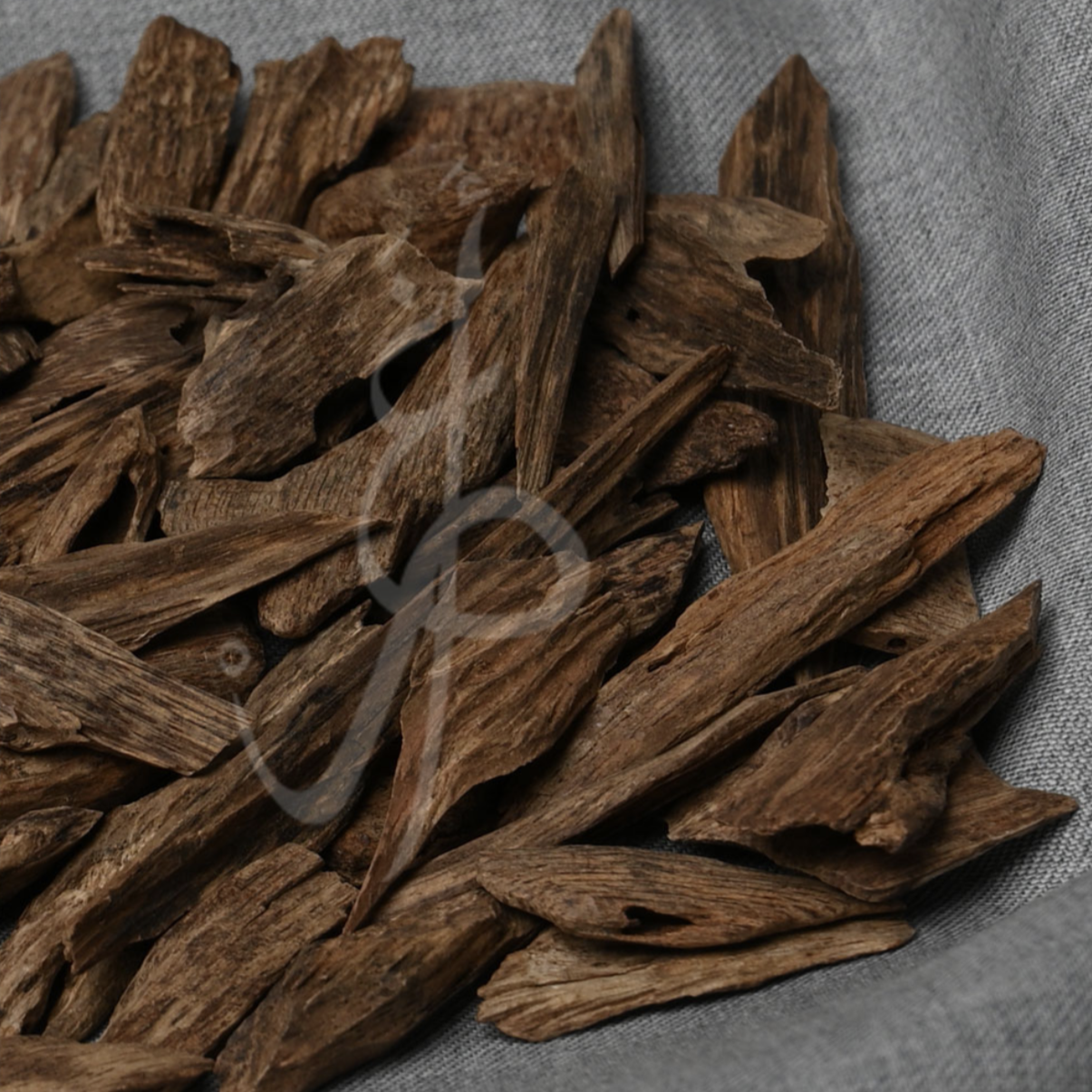 File_001 فلبيني النخبة - الصورة 1